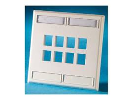 LEGRAND-ORTRONICS FP,KEYSTONE,8HOLE,2G,LBL DESG FOG WHT