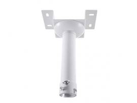 STRAIGHT TUBE MOUNT