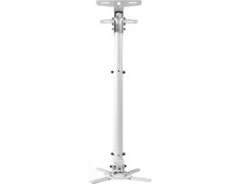 LOW PROFILE CEILING MNT W/EXTEN POLE WHT