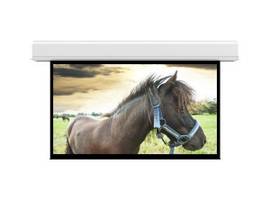 Legrand AV-Da-Lite Advantage Series Screen, 210 Inch Diagonal, 123X164, Matte Wh