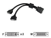 MATROX LFH60-TO-DVI DUAL MONT