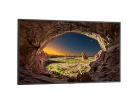 LED DSPL 55IN FHD 1920X1080 OPS-APIS-PS