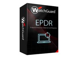 WATCHGUARD EPDR-3 YEAR-101 TO 250 LICENSES