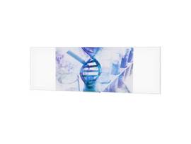 IDEA PANORAMIC 59.5X168 VA 16:10 FLMT - Thin bezel designed to for the most dema