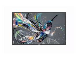 TPV-USA 43INCH PROSUMER 18-7 DISPLAY, UHD (3840X2160), 500CD-M2, ANDROID SOC