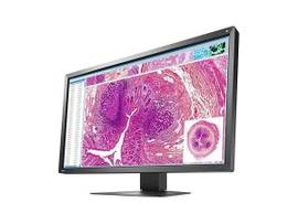 EIZO MX-SERIES 30.5IN LCD LED COLOR, DICOM CALIBRATION, BLACK, INTEGRATED FRONT SENSOR(IFS), 4096X2160, 550CD/M2, VIEWING ANGLE H:178/V:178
