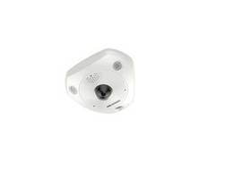 HIKVISION 12MP OUT FISH HEATMAP IMMER