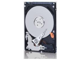 WD AV-25 2.5IN 1000GB 3Y WRNTY