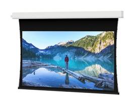 Legrand AV-Da-Lite Screen ADVANTAGE TNSD 123D DM 220