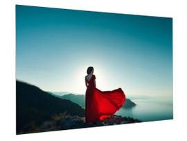 Legrand AV-Da-Lite Screen FULLVISION HD.9 94D 50X80