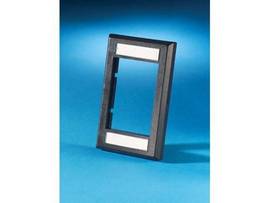 LEGRAND-ORTRONICS FP,SII,STD,2.75X4.5X.5, BLK