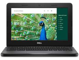 DELL CHROMEBOOK 3120 8GB 1DIMM 64GB EMMC NT 1366X768 WLS 3C 42WH