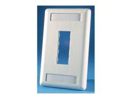 LEGRAND-ORTRONICS FP,TJ,2HOLE,SG,PC,FG WHT