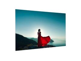 The FullVision is a border-less fixed frame projection screen that enables the e