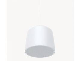 AXIS C1511 NETWORK PENDANT SPEAKER