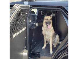 K9,INSERT,EXPL,20-23,BLK,