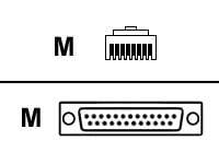 DIGI 48 RJ 45/DB25M STR CBL (10 PIN)