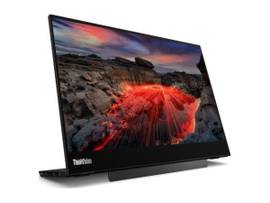 LENOVO M14TGEN2(D24140QX0)14INCH MONITOR-TYPE C