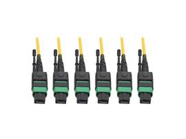 TRIPP LITE CABLE MTP/MPO 40/100 GBE 24-STRAND 61M