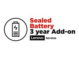 PROTECTION 3 YEAR BATTERY SINGLE REPLACE.