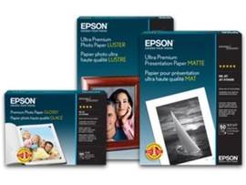 PAPER STD PROOFING(240) 44X100RL
