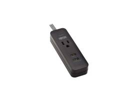 TRIPP LITE 1 OUTLET/2USB/4FT 450J SURGE PROTECTOR