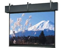 LEGRAND-DA-LITE SCREEN PROFESSIONAL 14X14 MW