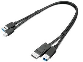 LENOVO CABLE_BO TS MDP+UA3 TO DP+UB3 CABLE
