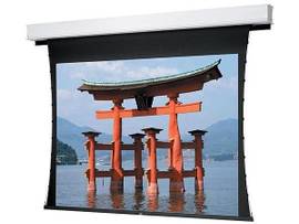 Legrand AV-Da-Lite Screen ADV DLX TNSD 119D DM 220