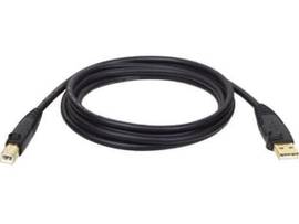 TRIPP LITE USB 2.0 GOLD A/B DEVICE CABLE - 6